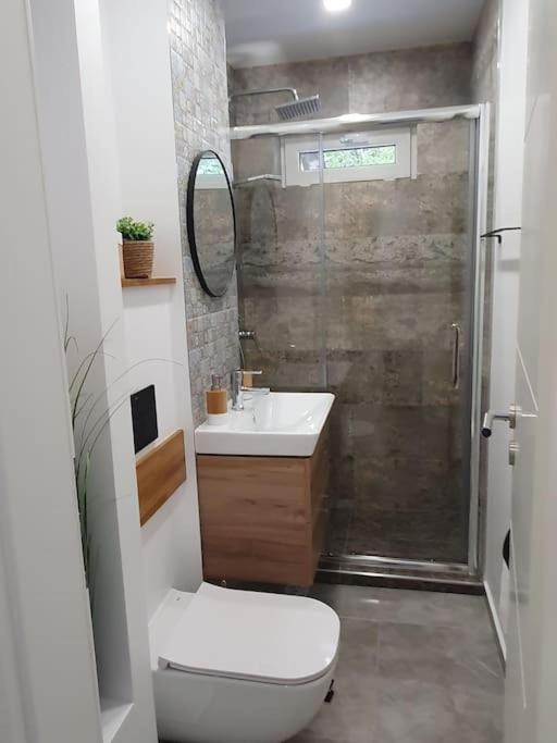 Apartament Ama Sibiu Esterno foto