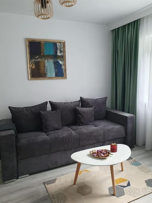 Apartament Ama Sibiu Esterno foto