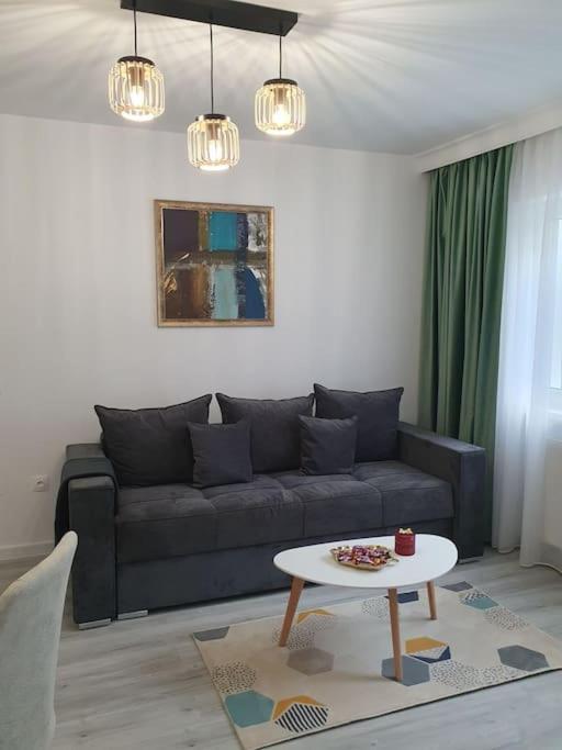 Apartament Ama Sibiu Esterno foto