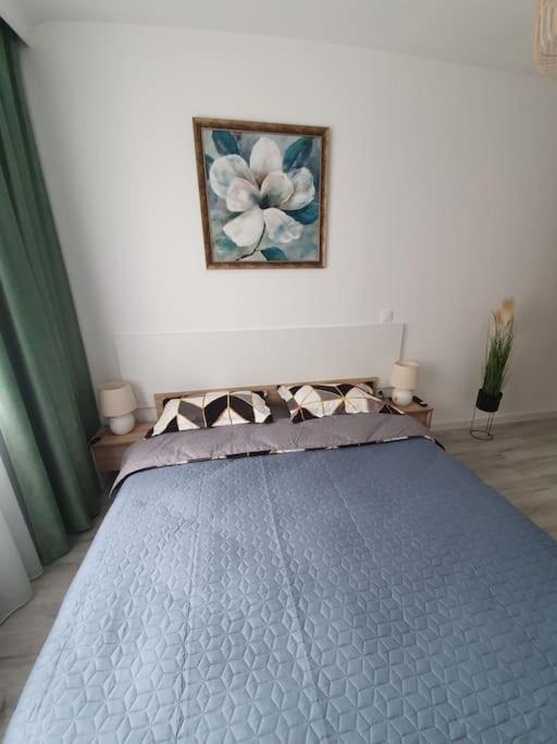 Apartament Ama Sibiu Esterno foto